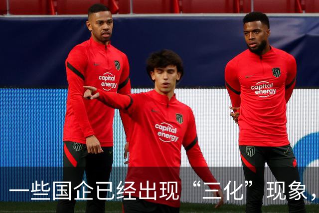 一些国企已经出现“三化”现象，并且这种现象呈现出愈发严重态势