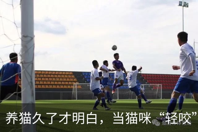 养猫久了才明白，当猫咪“轻咬”你，不是和你玩，而是在给你信号