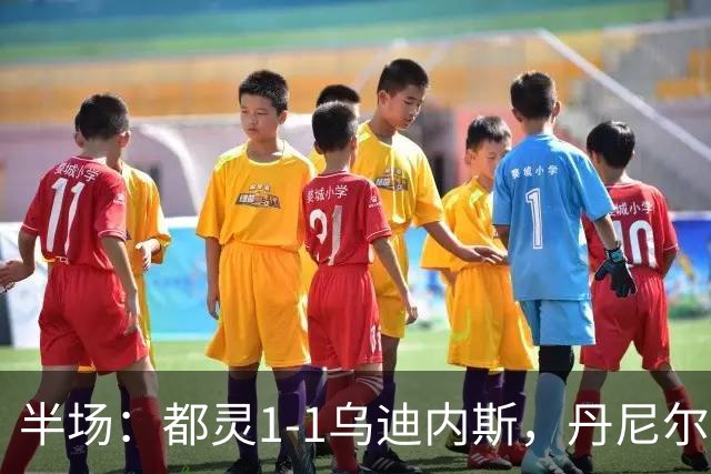 半场：都灵1-1乌迪内斯，丹尼尔-布拉干萨、埃克伦坎普破门