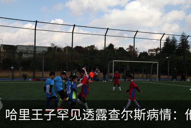 哈里王子罕见透露查尔斯病情：他正在好转