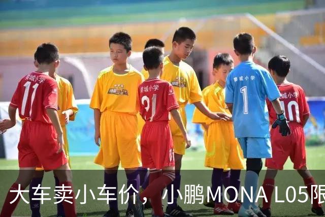 大车卖小车价，小鹏MONA L05限时13.98万起