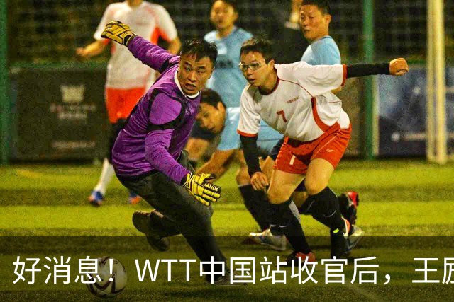 好消息！WTT中国站收官后，王励勤释放重要信号，樊振东有望回归