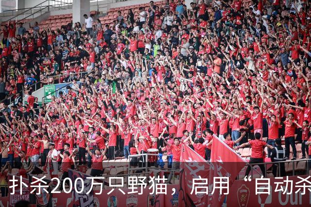 扑杀200万只野猫，启用“自动杀猫机”，对家猫“宵禁”……澳大利亚为什么不肯放过野生“哈基米”？