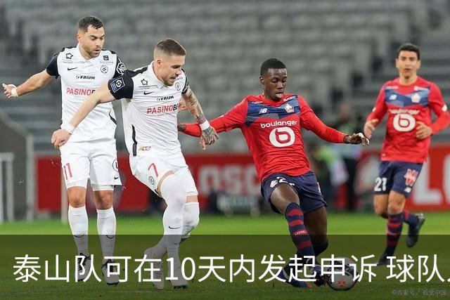 泰山队可在10天内发起申诉 球队人士也一头雾水