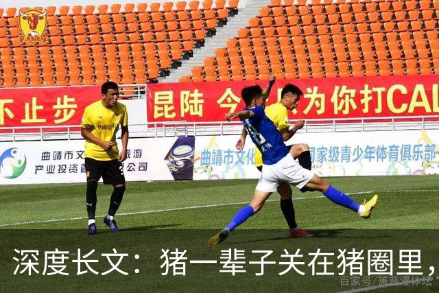 深度长文：猪一辈子关在猪圈里，为什么不会"憋疯"抑郁？其实它会