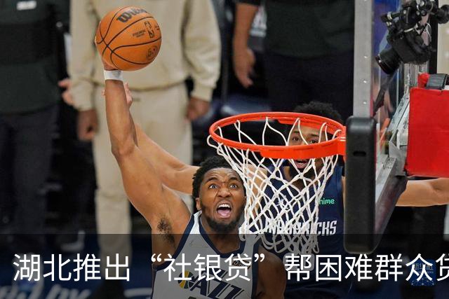 湖北推出“社银贷”帮困难群众贷款交社保
