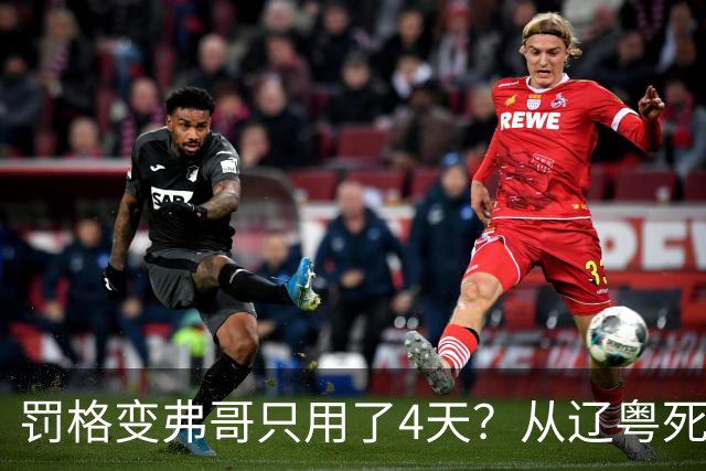 罚格变弗哥只用了4天？从辽粤死敌到广东队友，身份翻转太戏剧！