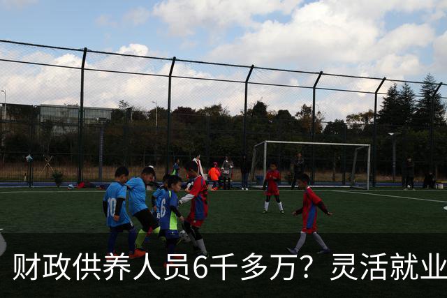 财政供养人员6千多万？灵活就业人员2亿多，财政吃紧？