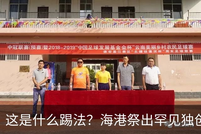 这是什么踢法？海港祭出罕见独创325阵型：直接拉爆蓉城体能，大连英博渔翁得利