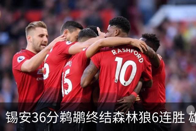 锡安36分鹈鹕终结森林狼6连胜 雄鹿险胜公牛