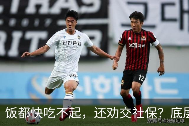 饭都快吃不起，还劝交社保？底层真相，被全网刻意隐瞒