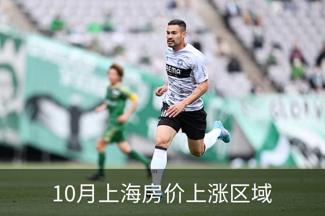 10月上海房价上涨区域