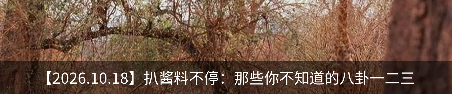 新闻动态