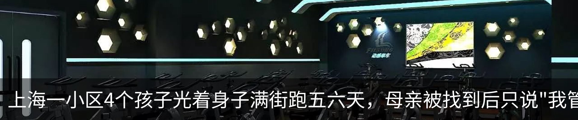新闻动态