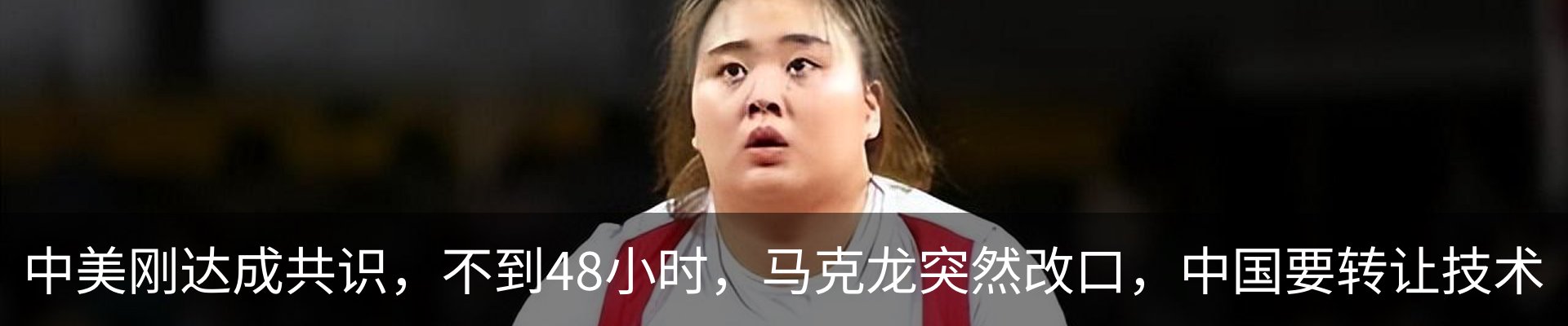 新闻动态