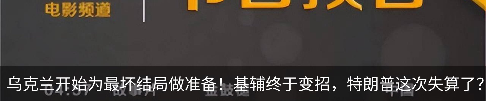 新闻动态