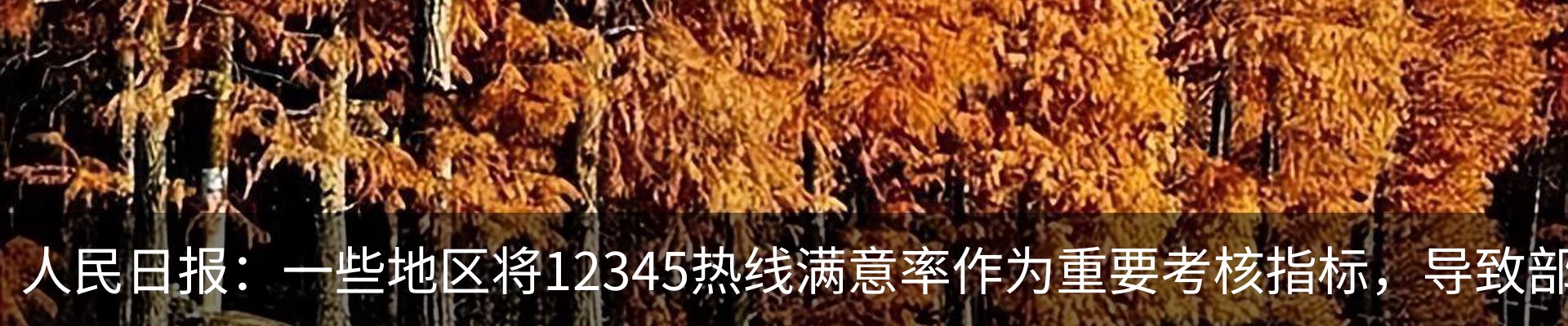 新闻动态