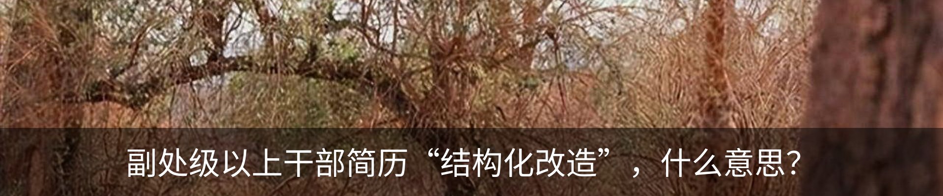 新闻动态