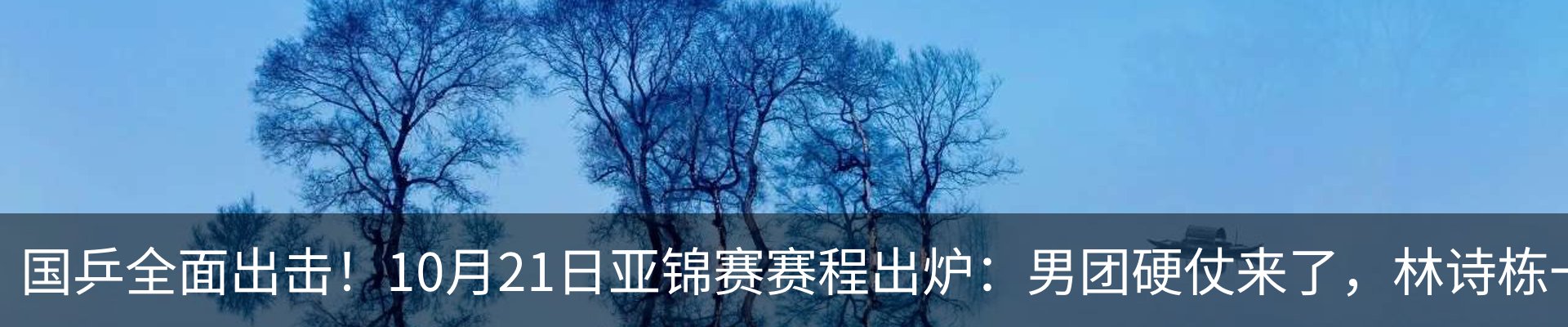 新闻动态