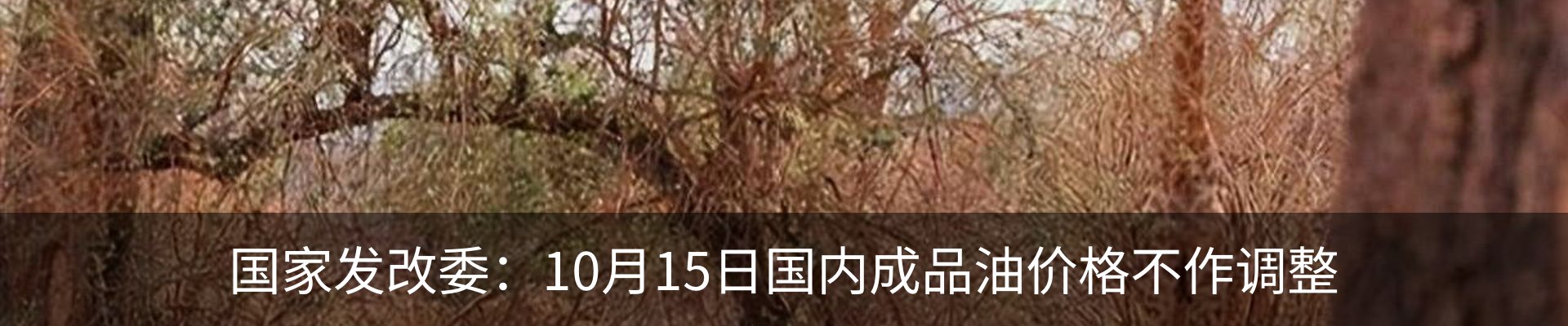 新闻动态