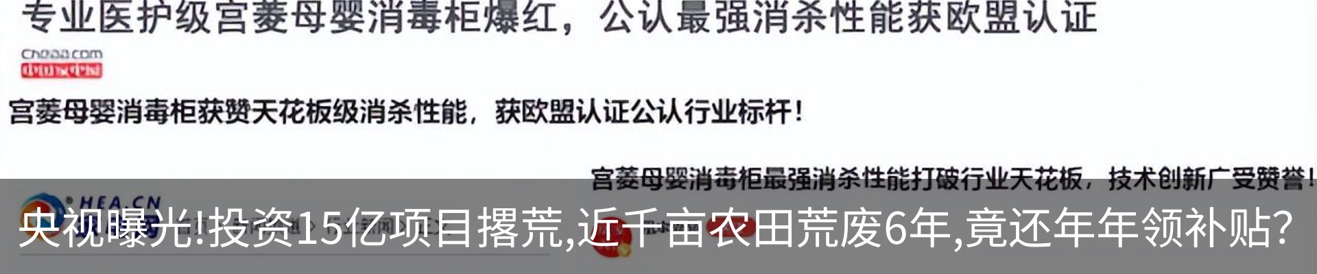 新闻动态