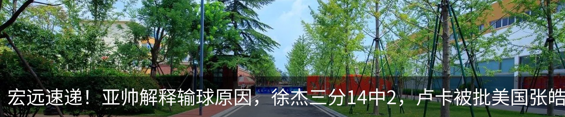 新闻动态