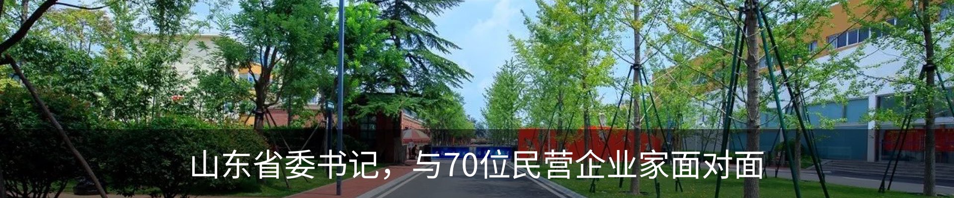 新闻动态