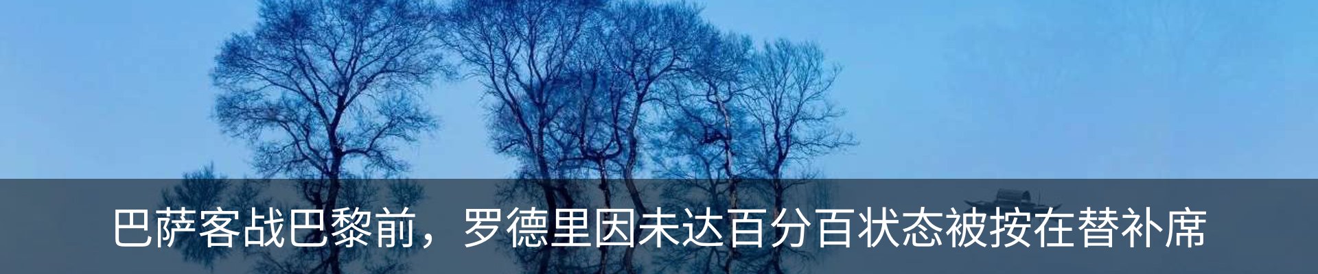 新闻动态