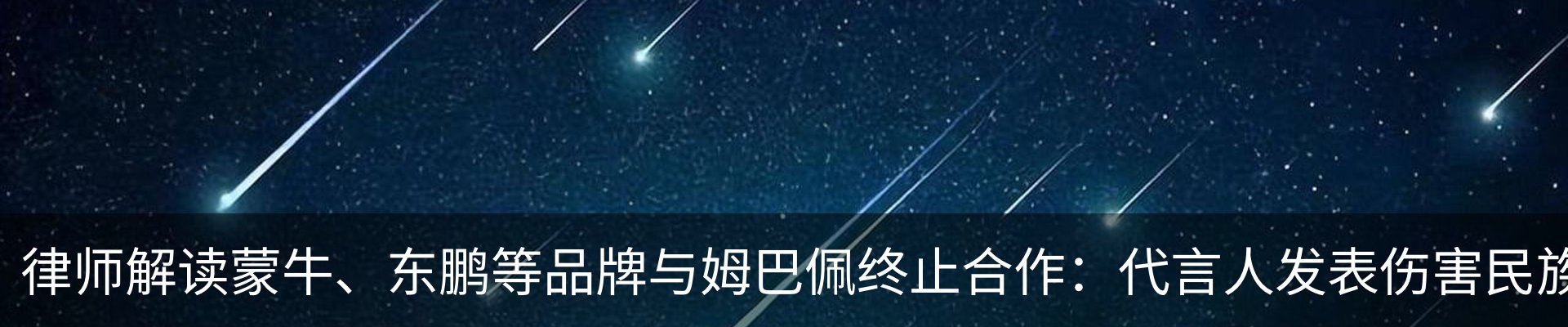 新闻动态