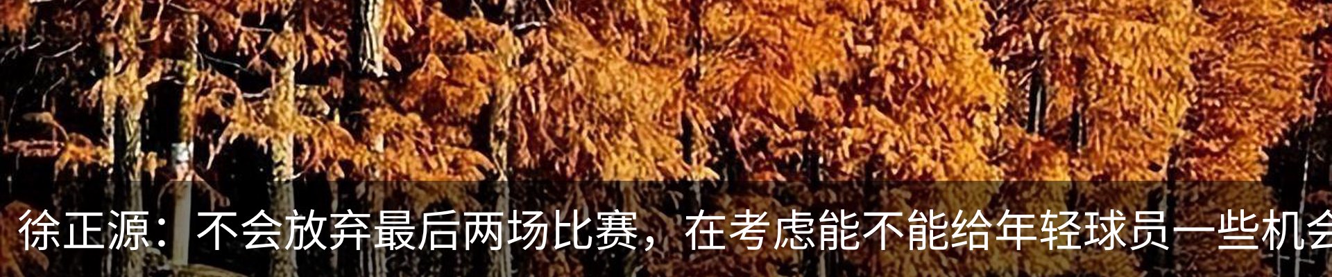 新闻动态