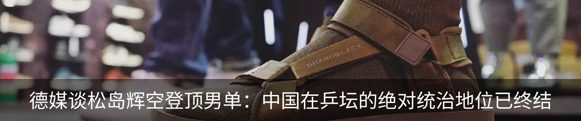 新闻动态