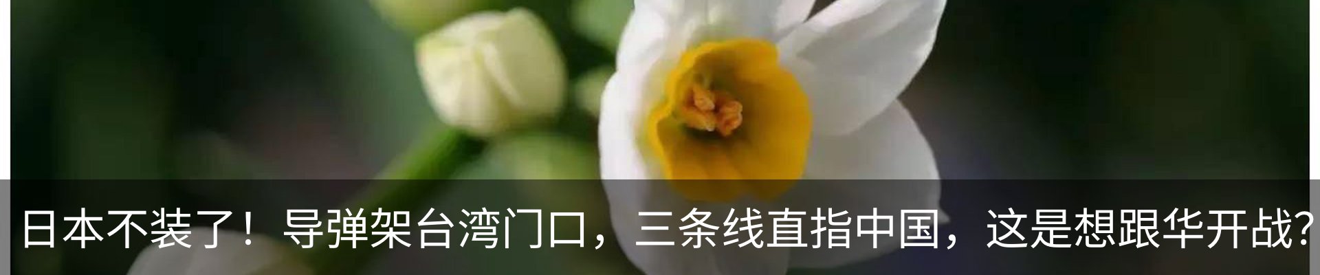 新闻动态