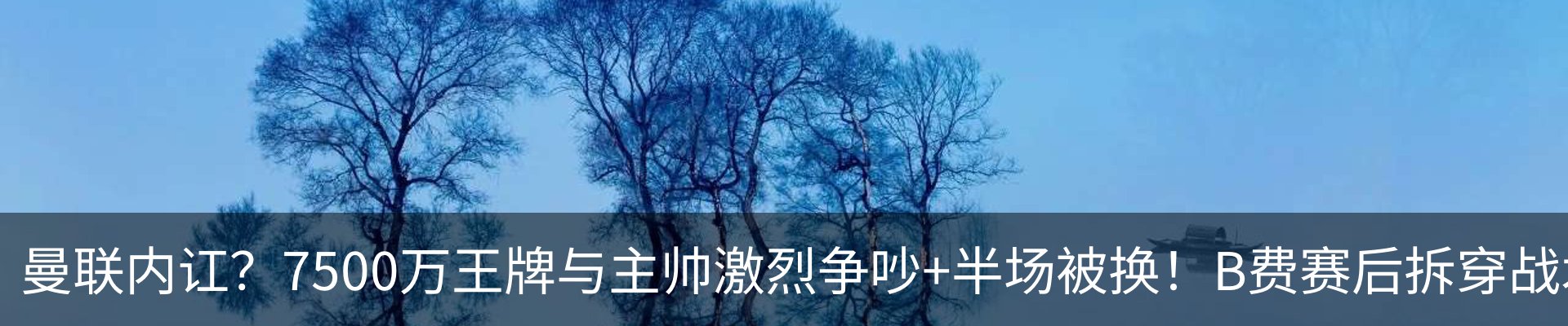 新闻动态