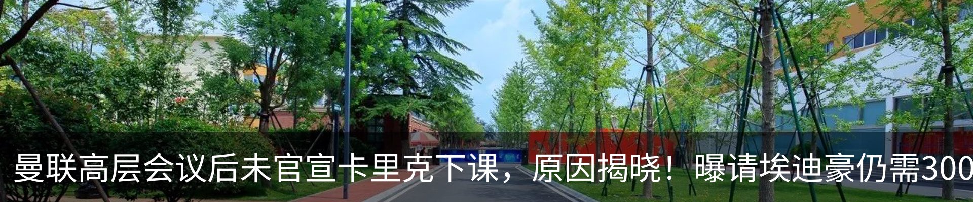 新闻动态