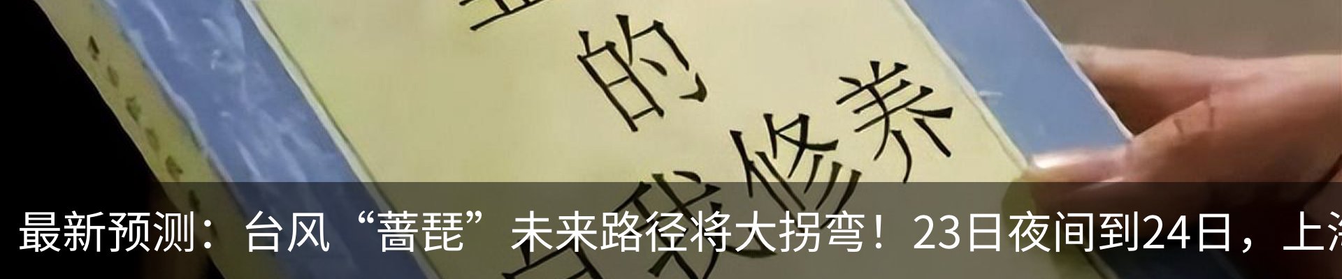 新闻动态