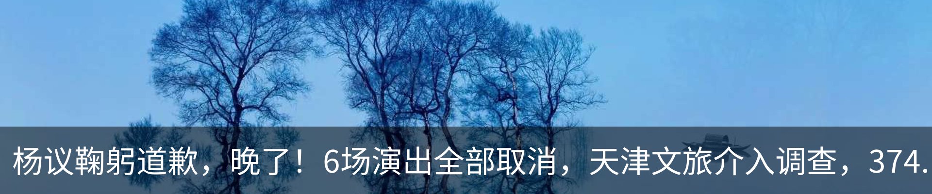 新闻动态