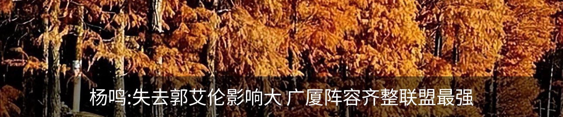 新闻动态