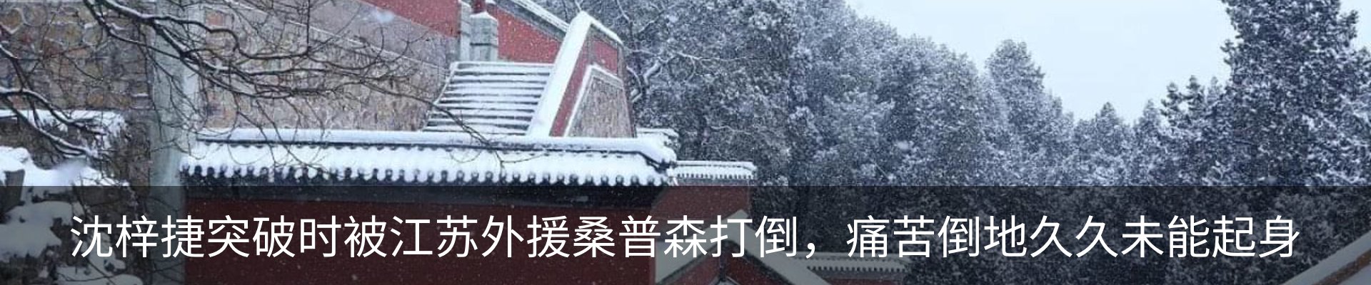 新闻动态