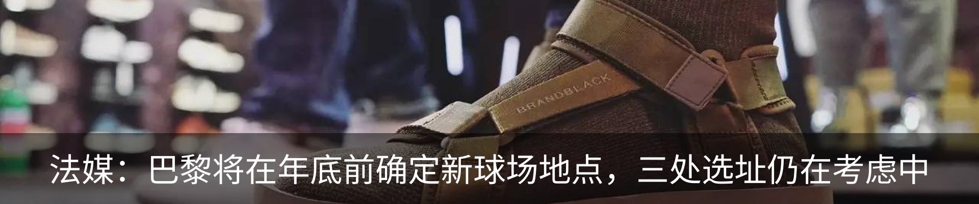新闻动态