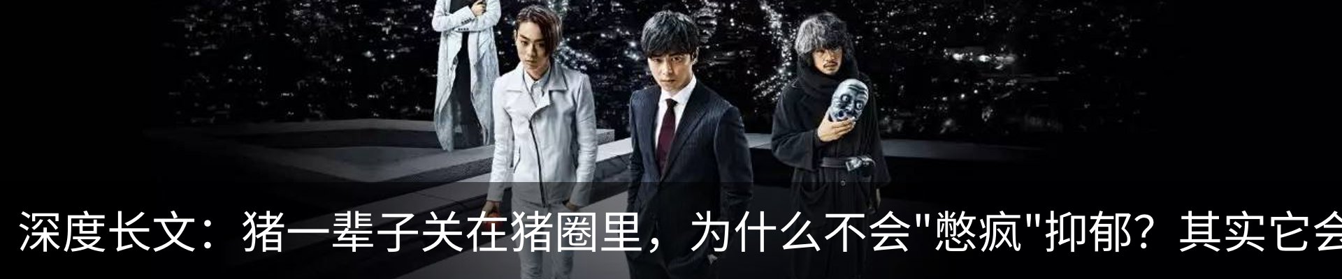 新闻动态