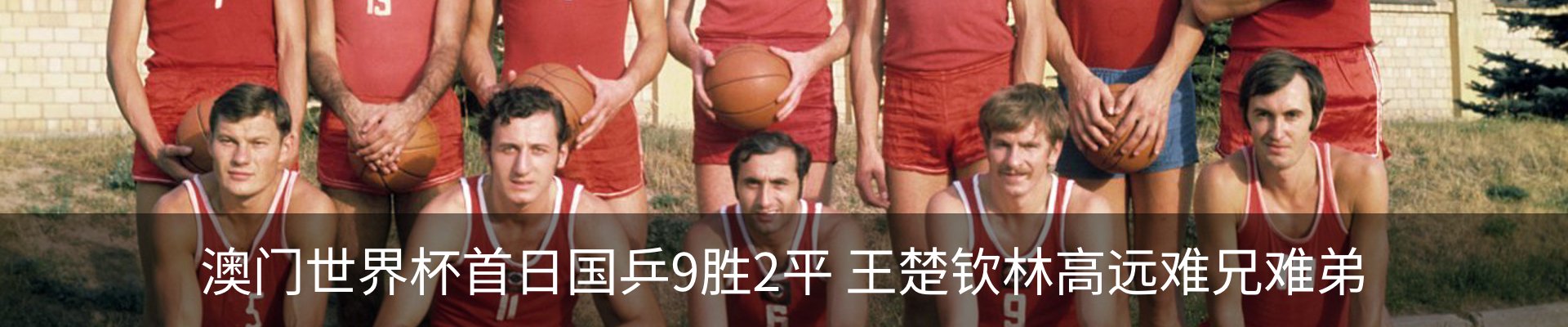 新闻动态
