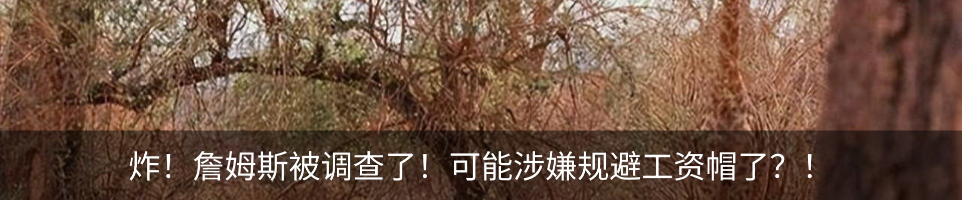 新闻动态