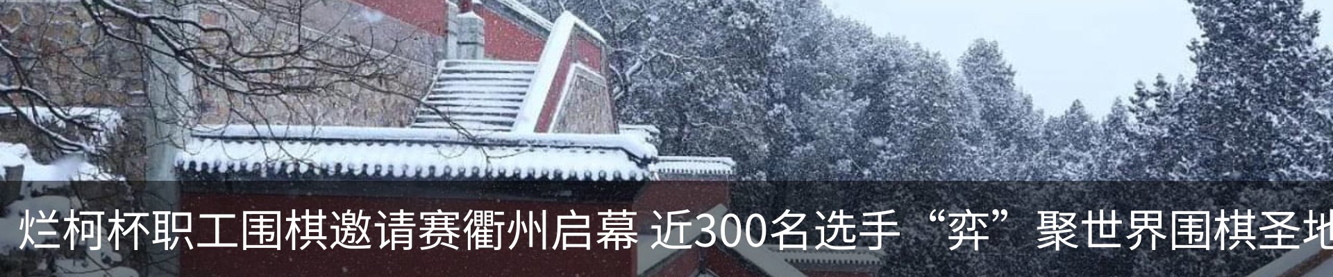 新闻动态
