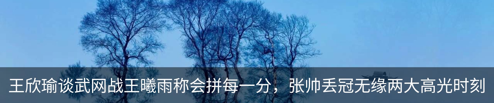 新闻动态