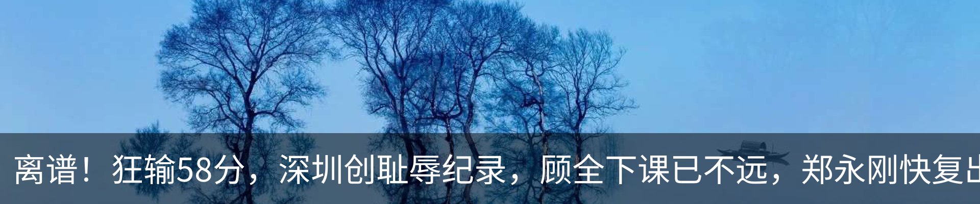 新闻动态