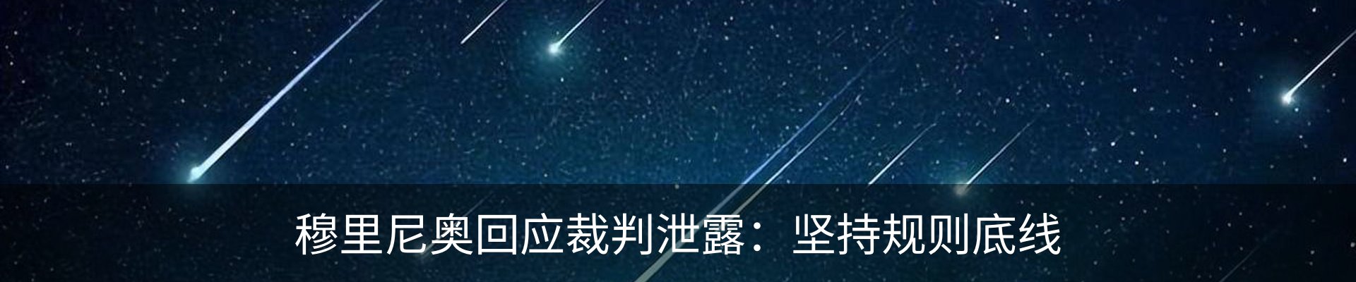 新闻动态