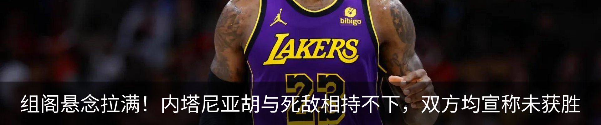 新闻动态