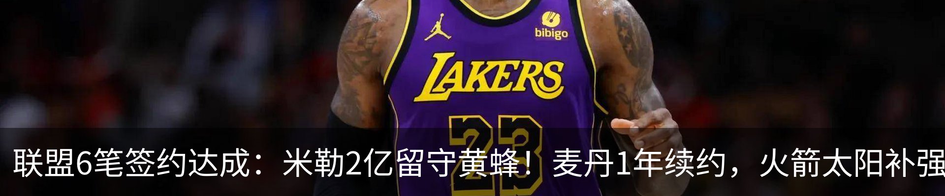 新闻动态