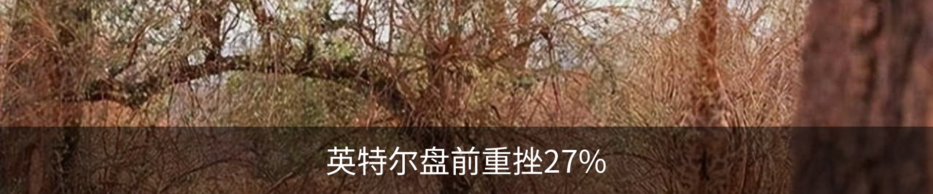 新闻动态