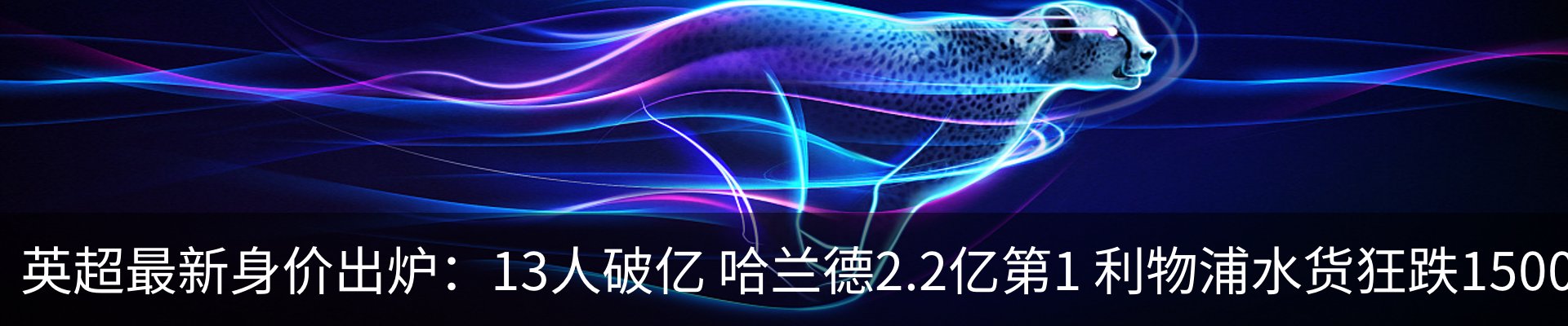 新闻动态